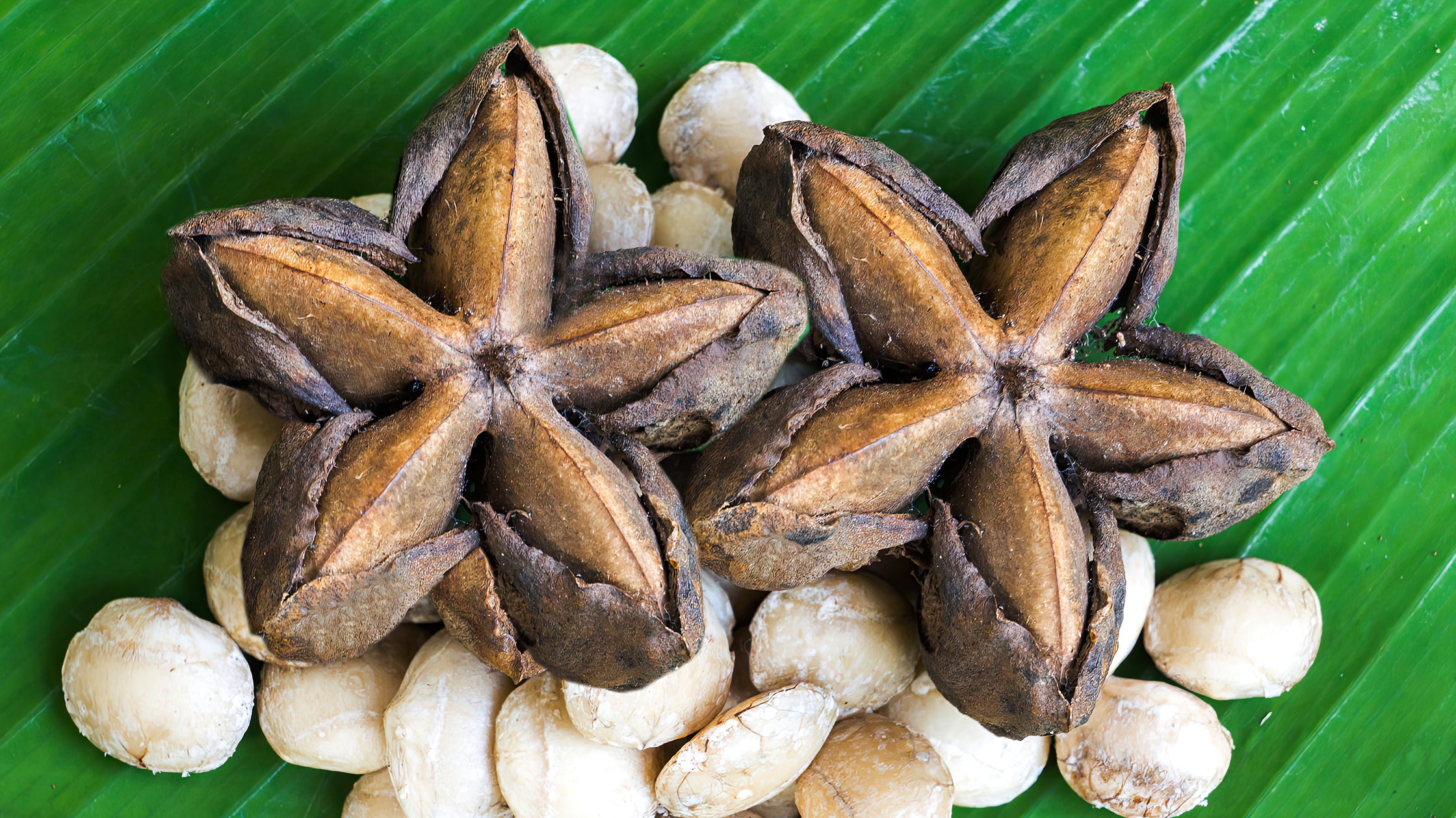 Kushty Sacha Inchi Seeds