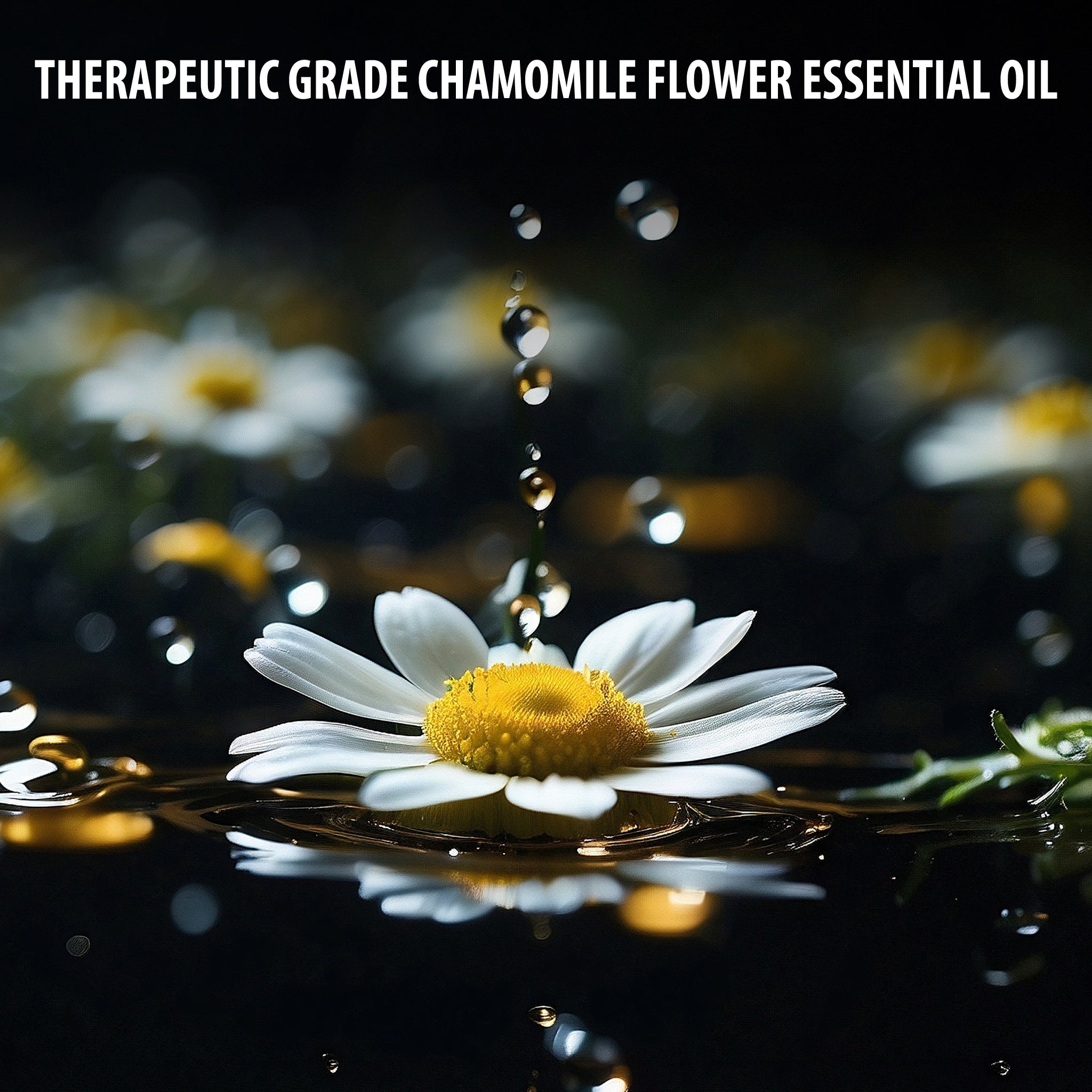 Kushty Chamomile Essential Oil