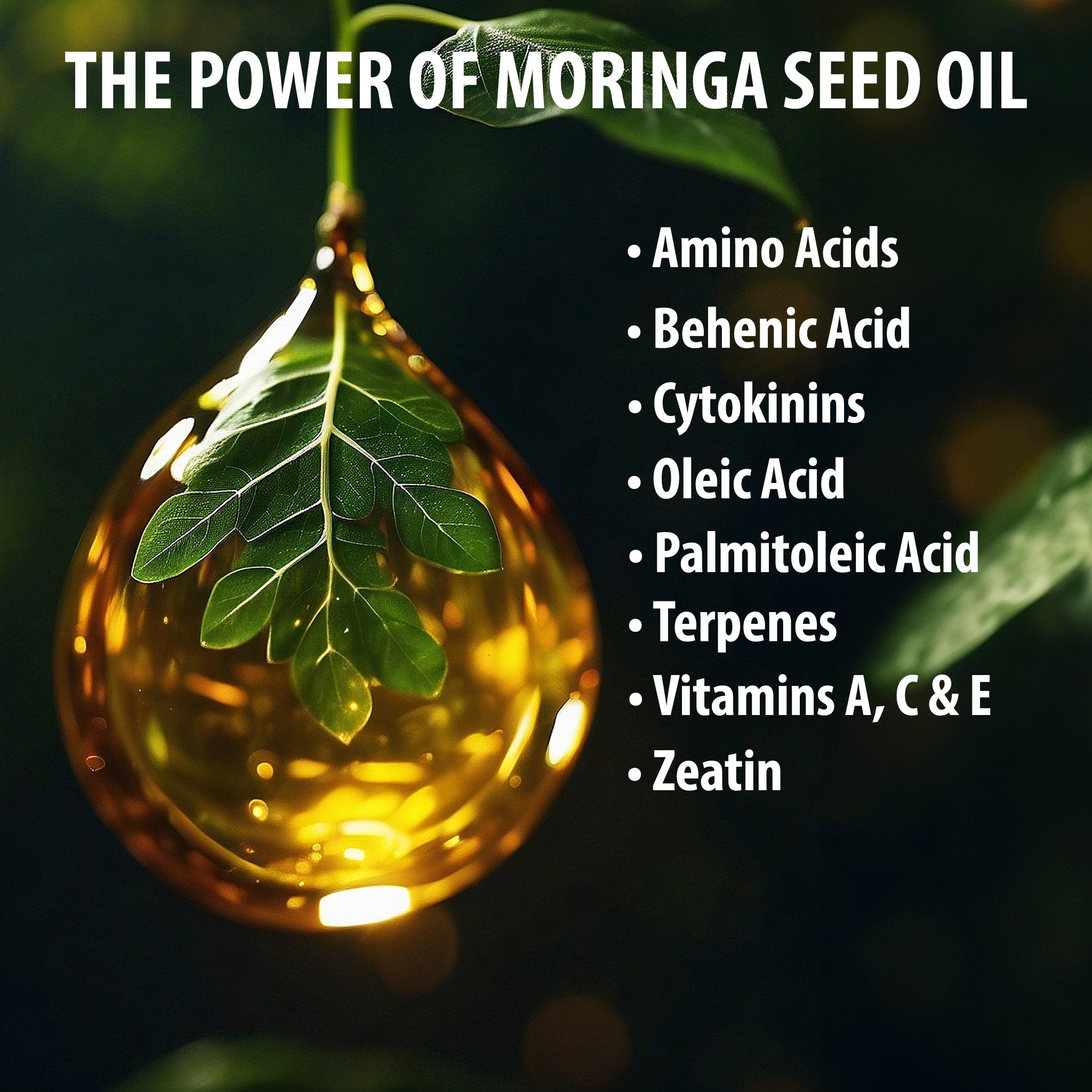 Kushty Moringa Seed Oil
