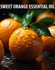 Kushty Sweet orange Essential Oil